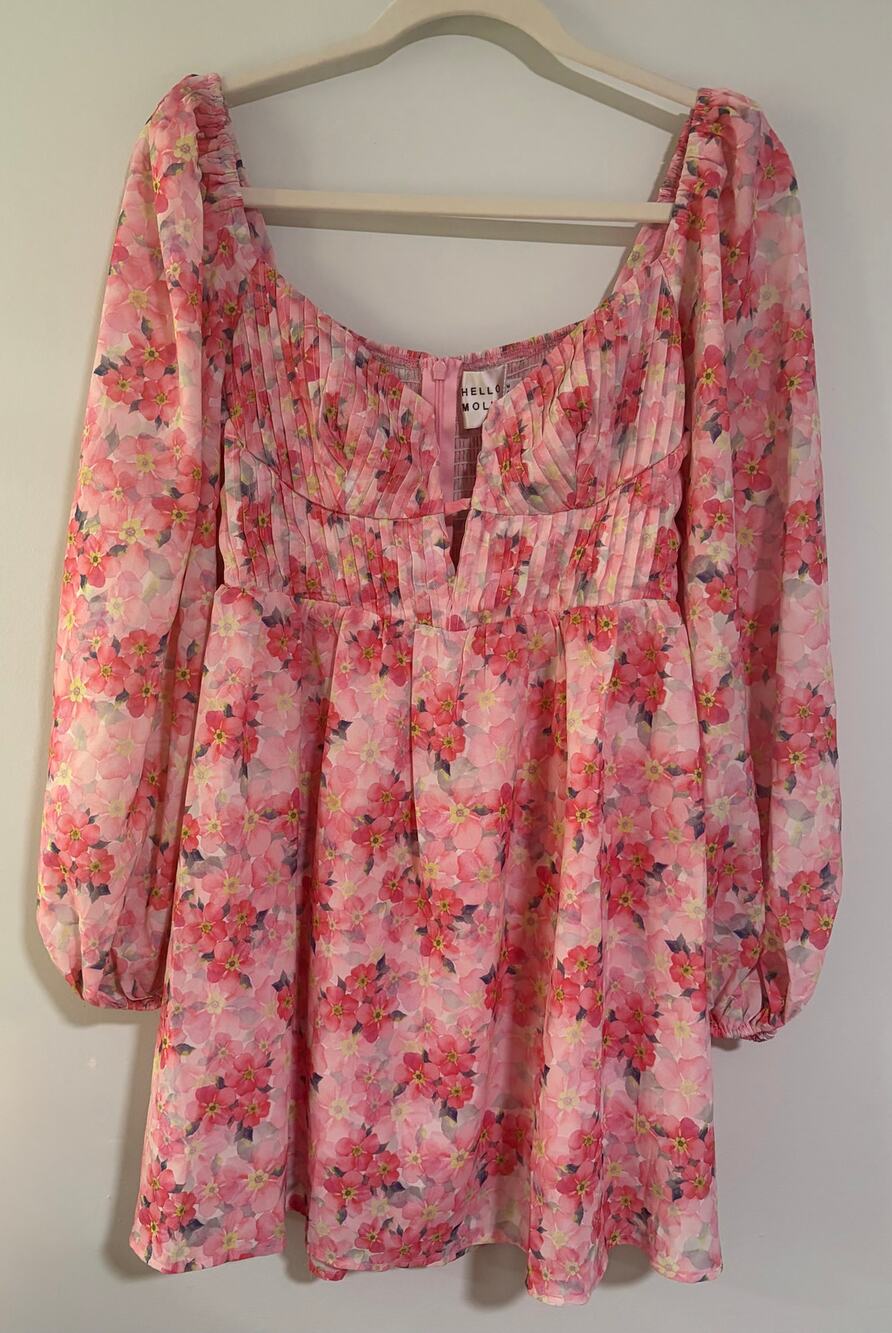 Hello Molly Pink Floral Long Sleeve Mini Dress Corset Bust Size 6